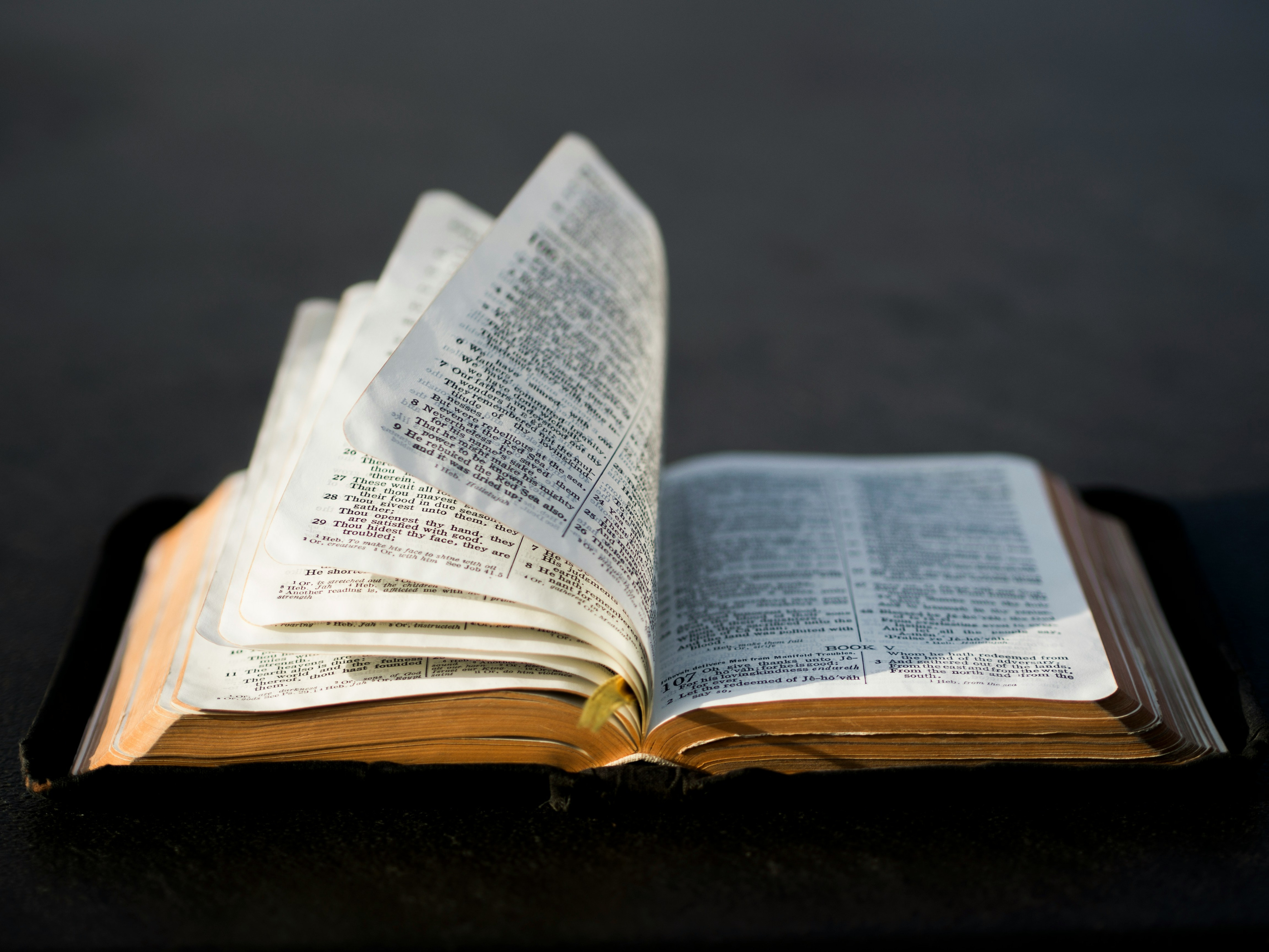 open bible warm light scripture study